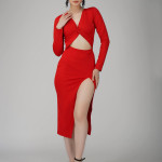 Ekeshwara red flip pattern coctail party dress