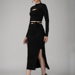 Ekeshwara black crop top & skirts party wear dress for women