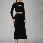 Ekeshwara black crop top & skirts party wear dress for women